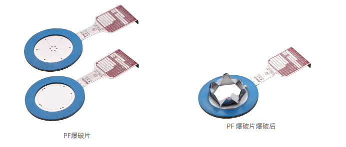 平板开缝型爆破片(PF)介绍图01.png
